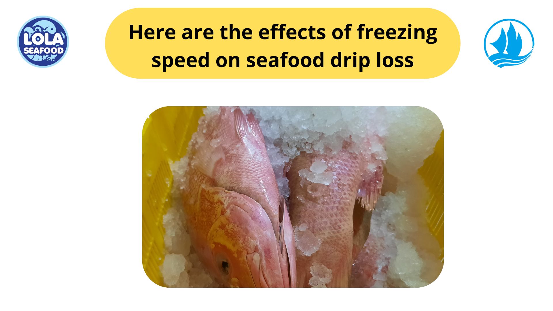 Here are the effects of freezing speed on seafood drip loss